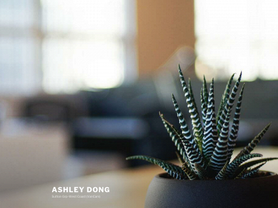 ashleydong.net snapshot