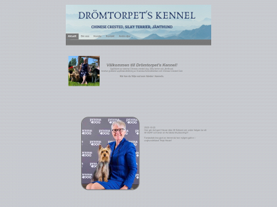dromtorpet.com snapshot