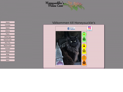 honeysuckles.se snapshot