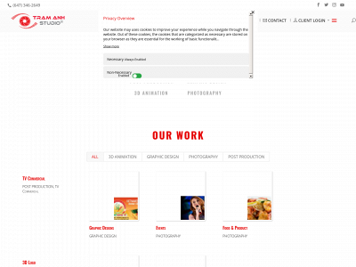 tastudio.ca snapshot