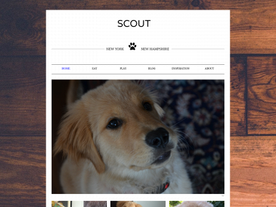 scoutnynh.com snapshot