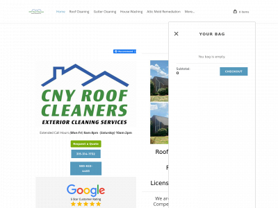 www.cnyroofcleaning.com snapshot