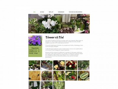 askersundsblommor.se snapshot