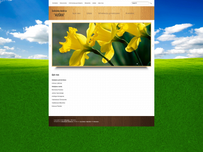 sbausra.lt snapshot