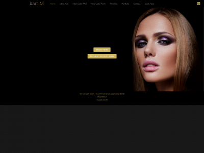 losgatoshairstylist.com snapshot