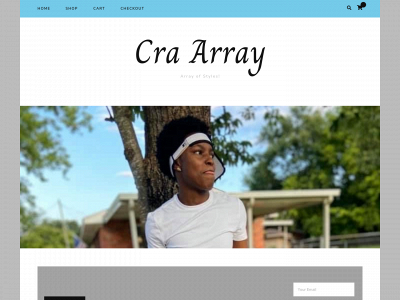 cra-array.com snapshot