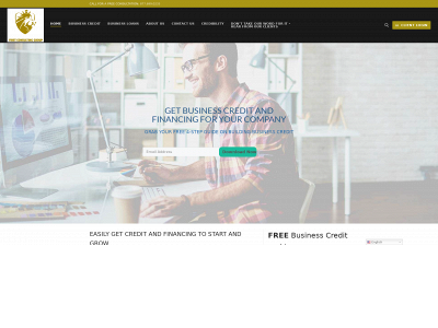 firstconsultinggroupinc.com snapshot