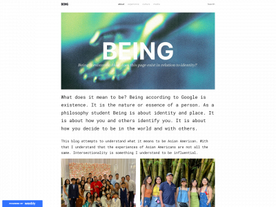 whatmakesyouasian.weebly.com snapshot