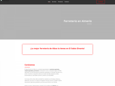 www.elsabioelnanta.com snapshot