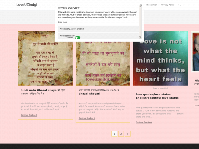 loveuzindgi.com snapshot