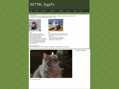 mr-ingels.se snapshot