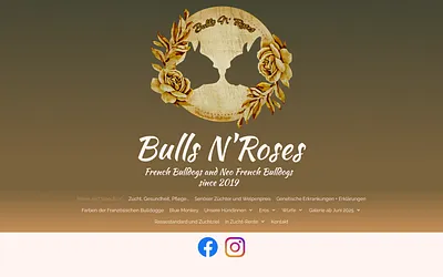 bullsnroses.at snapshot