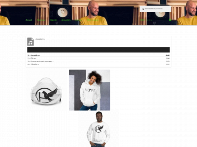 fayzino.com snapshot