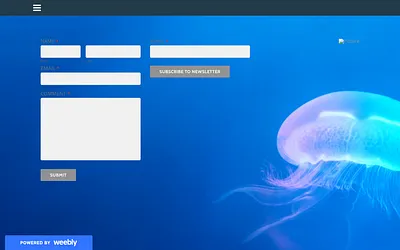 letstalkbrainpower.weebly.com snapshot