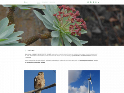 bejequemedioambiente.es snapshot