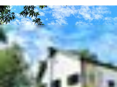 giteforester.be snapshot