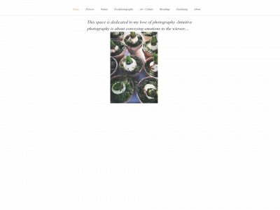livlundandersenfoto.com snapshot