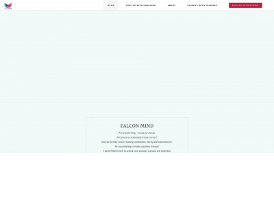 falconmind.com snapshot
