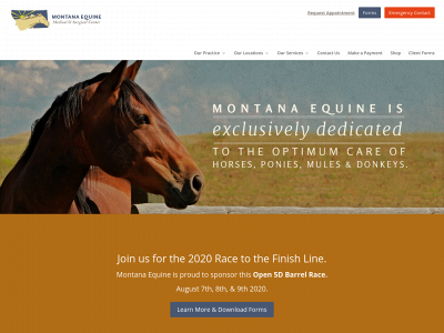 mtequine.com snapshot