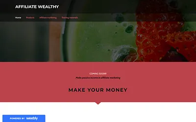 affiliatewealthy.weebly.com snapshot