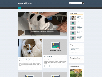sessanlilly.se snapshot