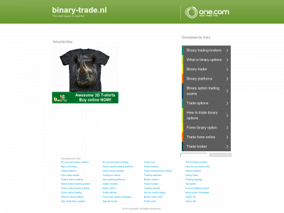 binary-trade.nl snapshot