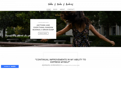 oddsandendsandaudrey.weebly.com snapshot
