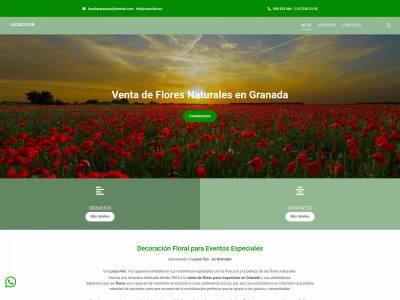 www.lucasflor.es snapshot