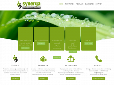 synerga.be snapshot