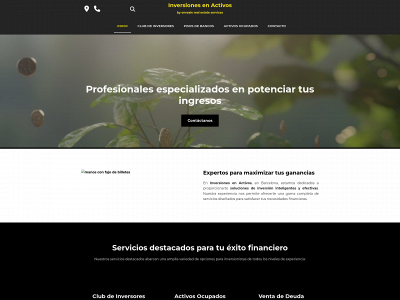 www.inversionesenactivos.com snapshot