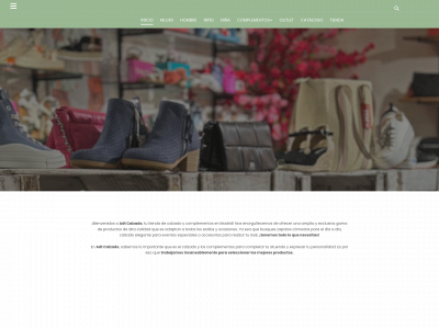 adtcalzado.com snapshot