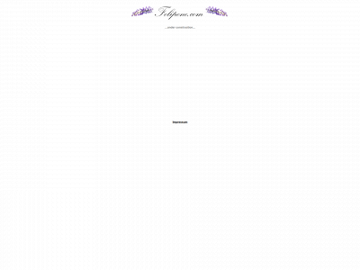 felipene.com snapshot