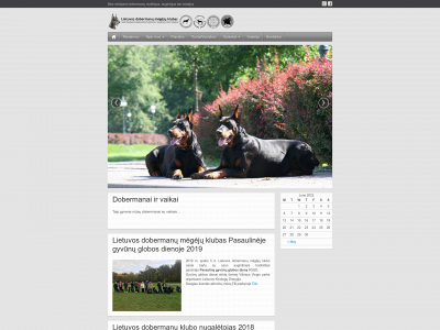litdobermann.com snapshot