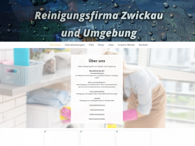 reinigungsfirma-zwickau.de snapshot