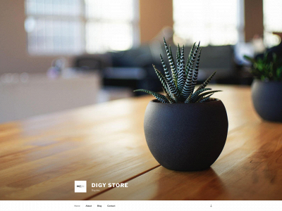 digytec.store snapshot