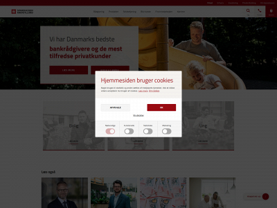 påvej.dk snapshot