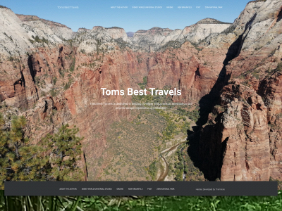 tomsbesttravels.com snapshot
