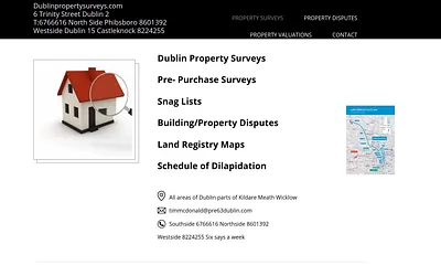 dublinpropertysurveys.com snapshot