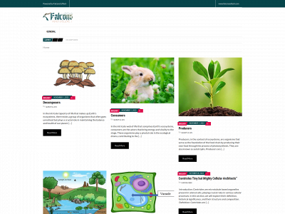 www.falcons.org.pk snapshot