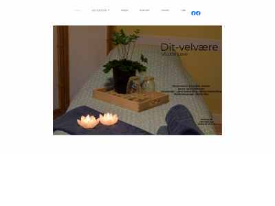 dit-velvaere.dk snapshot
