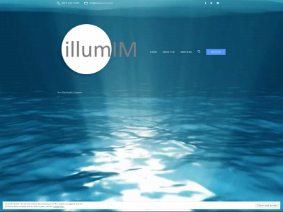 illumimcorp.com snapshot