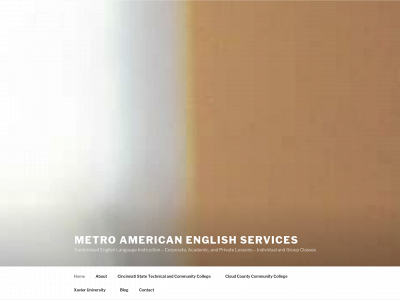 metro-aes.com snapshot