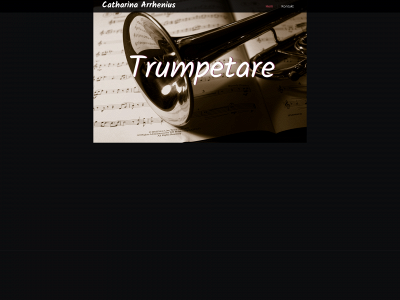 trumpet.pm snapshot