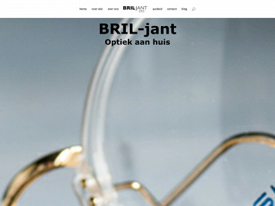 bril-jant.be snapshot