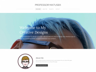 professormatusek.weebly.com snapshot