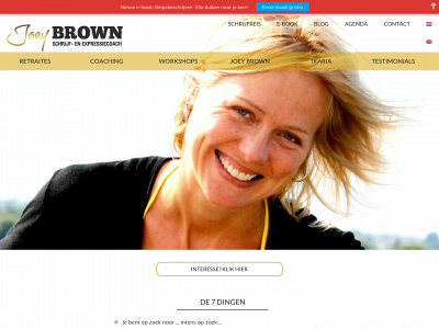 www.joeybrown.be snapshot