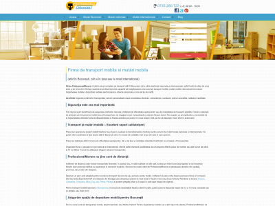 professionalmovers.ro snapshot