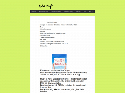 bsi-nyt.dk snapshot