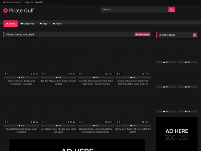 pirategulf.com snapshot