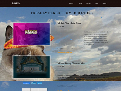 qacph2.1prod.one snapshot